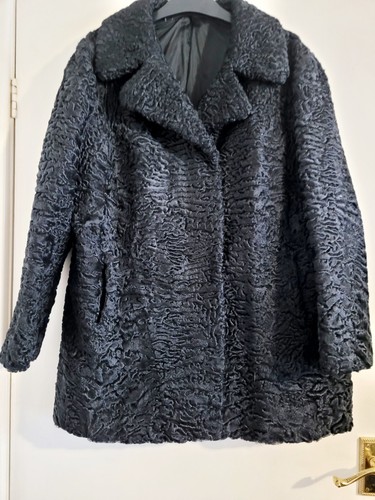 Vintage black karakal - karakal, curly